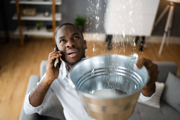 Best 24/7 water damage repair  in Baxter Estates, NY