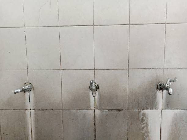 Best Water damage restoration near me  in Baxter Estates, NY