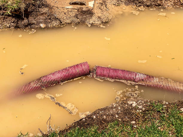 Best 24-hour water damage restoration  in Baxter Estates, NY