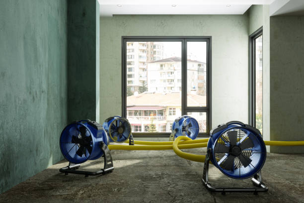 Best Carpet water damage restoration  in Baxter Estates, NY